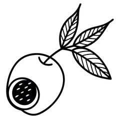 Black and White Coconut Branch with Fruit and Leaf Pattern