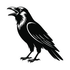 Screaming crow bird vector illustration

