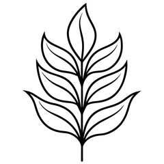 Black Line Drawing Simple Leaf Branch Botanical Illustration