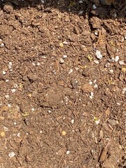 Close-Up of Organic Soil Texture with Natural Mulch and Fertilizer Granules