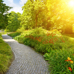 Bright sunrise, beautiful flowers and trees in the park