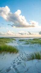 Footprints in the sand leading to the ocean under a blue sky with fluffy white clouds above dunes