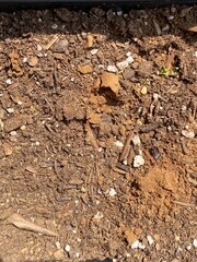 Macro Image of Organic Soil with Clay Clumps and Mulch Texture