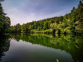 Schöner See im Wald