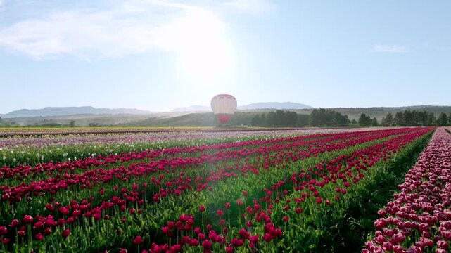 Globo aerost&aacute;tico en Tulipanes Patagonia en Trevelin Chubut
