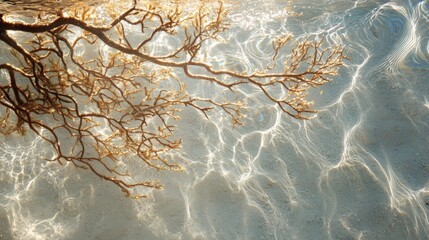 Tree branches with leaves reflected in rippling water creating abstract patterns.