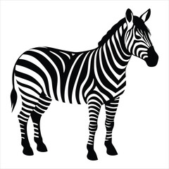 Fototapeta premium Zebra Silhouette Vector Illustration African Wildlife, Jungle Animal, Safari Design, Nature Icon, Wild Animal, Standing Zebra, Black and White Clipart