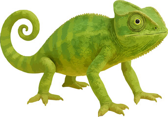 chameleon,