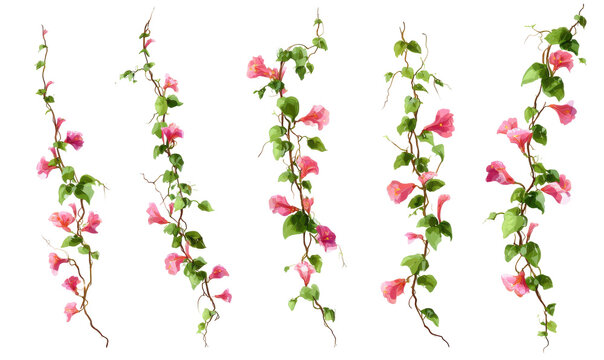 Decorative floral vines with pink blossoms and green leaves