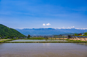 田植え頃の田園風景と北アルプス
