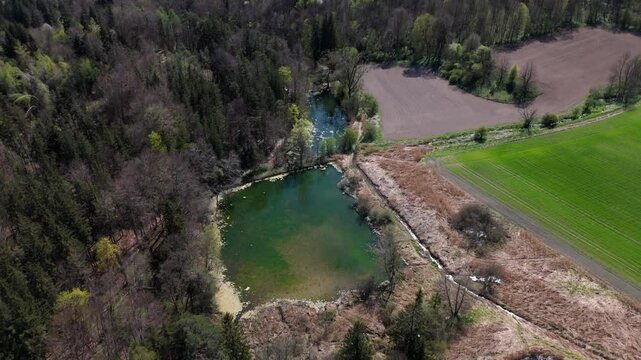 Luftaufnahme idyllisches Naturschutzgebiet bei Grafing b. Muenchen in Oberbayern. Eine Kette klarer Weiher, umgeben von gruener Fruehlingsnatur, perfekt fur Wanderer und Naturfreunde. Spiegelweiher. 