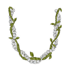 necklace Hawaiian Lei flower illustration hand drawing   © Manjurul