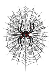 Fototapeta premium Spider in Web - Detailed illustration of a spider centered in its web, isolated on white background. Perfect for Halloween or nature themes