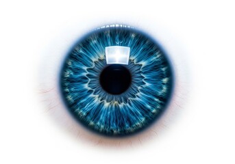 Vivid Blue Human Eye Close Up - A detailed close-up shot of a striking blue human eye, showcasing intricate iris details against a white background
