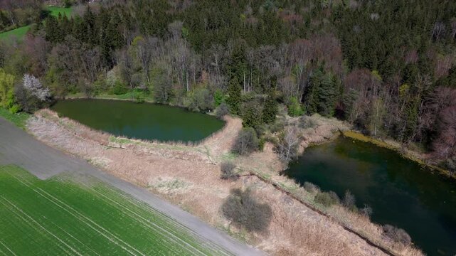 Luftaufnahme idyllisches Naturschutzgebiet bei Grafing b. Muenchen in Oberbayern. Eine Kette klarer Weiher, umgeben von gruener Fruehlingsnatur, perfekt fur Wanderer und Naturfreunde. Spiegelweiher. 