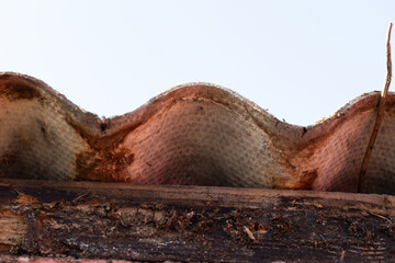 A closeup of an asbestos corrugated sheet lying on a roof of a garden house. The dangerous material should be safely removed by a certified remover.