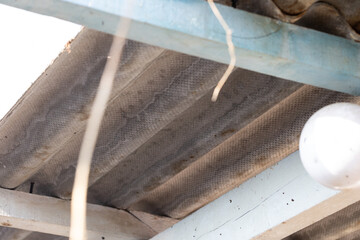 A portrait of a corrugated sheet made of asbestos lying on a garden house roof. The dangerous material should be safely removed by a certified remover.