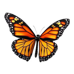Fototapeta premium Colorful monarch butterfly with wings open, isolated on transparent background. 