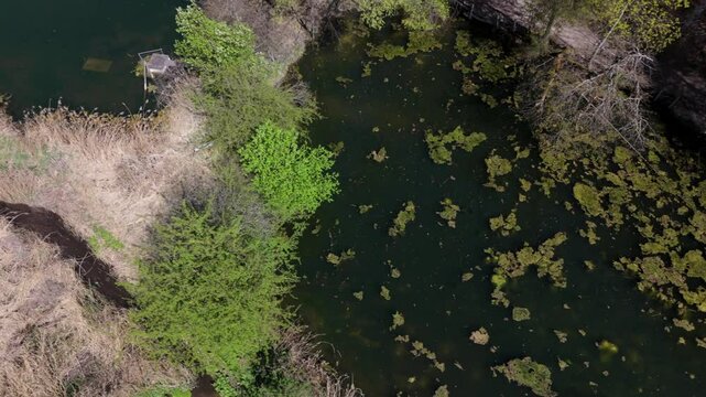 Drone shot of Spiegelweiher, fish pond chain in Grafing bei Muenchen, Bavaria, Germany. This hidden gem near Munich features quiet hiking trails, reflective waters and vibrant spring greenery. 