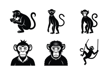 mockney different activities bundle 