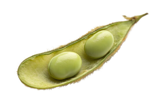 Fresh green edamame beans in pod close up macro food agriculture diet isolated on transparent background