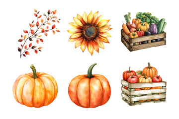 A colorful collection of autumn harvest elements, featuring vibrant pumpkins, a cheerful sunflower, and a crate filled with fresh vegetables. Perfect for seasonal themes.
