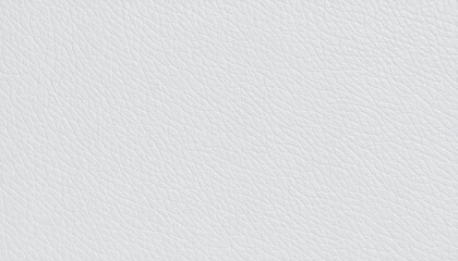 Fondo con textura de cuero gris claro