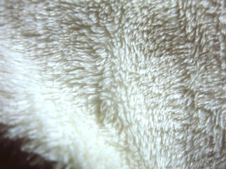 texture of light artificial sheep wool