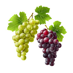Obraz premium Red and green grape clusters with leaves isolated on transparent background. isolated white background