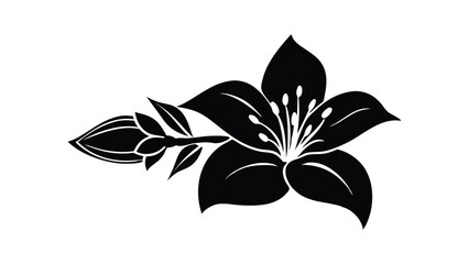 Black and white lily flower vector illustration featuring elegant petals and a delicate leaf design silhouette jasmine flower icon on white background