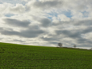 Scenic view of a green meadow with trees on the side under the cloudy sky