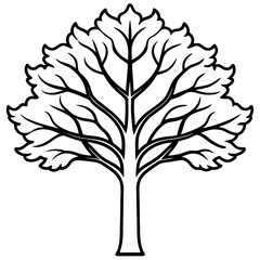 Simplified Black and White Vector Sycamore Tree Illustration 1