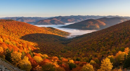 Autumnal Mountain Landscape Panoramic View of Colorful Foliage and Misty Valley