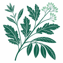 Flat vector Illustration of a foliage plant