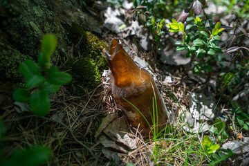 Broken glass bottle in nature.
