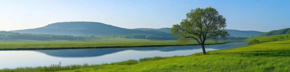 A tree is growing by a river in a grassy field. The sky is blue and the sun is shining