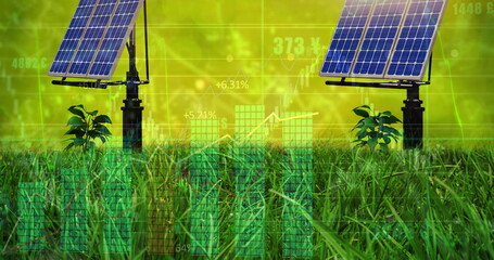Displaying two solar panels on metal stands rising above tall grass in field, with financial graphs