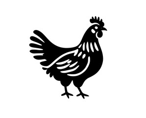 Fototapeta premium rooster isolated on white background,rooster isolated on white,rooster vector illustration