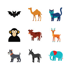 Fototapeta premium set of animal
