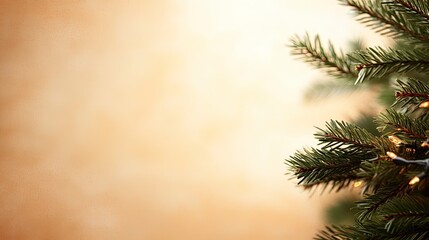 Obraz premium Christmas tree branch with warm lights against a soft backdrop