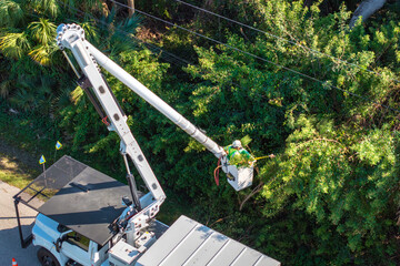 Electricity outage prevention. Electrician worker trimming tree around power lines