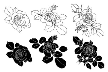 Sketch collection, silhouettes of rose flowers. Simple botanical elements. Vector graphics.