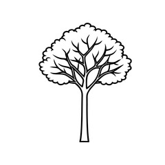 Tall Ash Tree Black and White Line Drawing Simple Tree Illustration