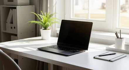 Minimal workspace with laptop and plant near window in bright white home office
