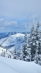 Snowy mountain landscape with evergreen trees covered in snow on a cloudy winter day in the mountains