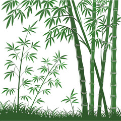 Fototapeta premium bamboo background vector