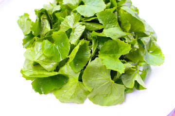 Fresh gotu kola leaves, a traditional herb used to reduce inflammation and support circulation.