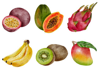 Watercolor clipart set of exotic fruits: mango, papaya, pitaya, banana, passion fruit, kiwi, and carambola. Bright and juicy tropical elements for summer design. Isolated on white background.