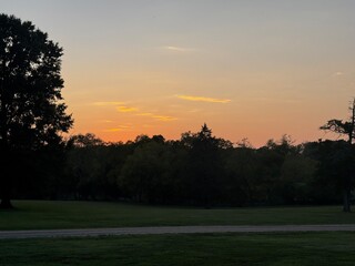 Sunset over tree line at Berry Hill Plantation, Virginia