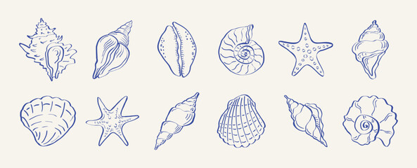 Hand drawn shells ocean doodle collection. Outline sea shells and sea stars, vintage marine sketches, oysters rapanas, coastal bohemian lifestyle concept. Vector set